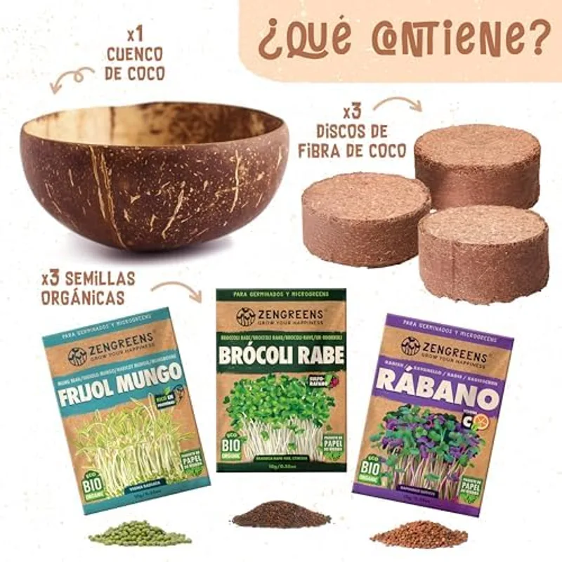 Detalle de los microgreens de brócoli ya desarrollados en el bol de coco ZenGreens, con cotiledones verdes abiertos listos para cosechar