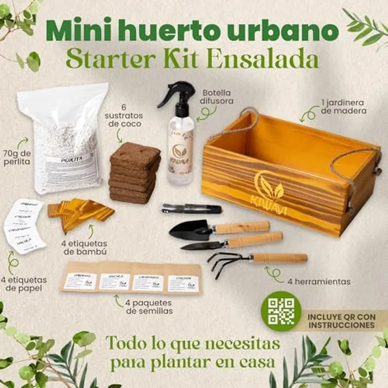 Macetera de madera del kit Kiwavi con plántulas germinadas