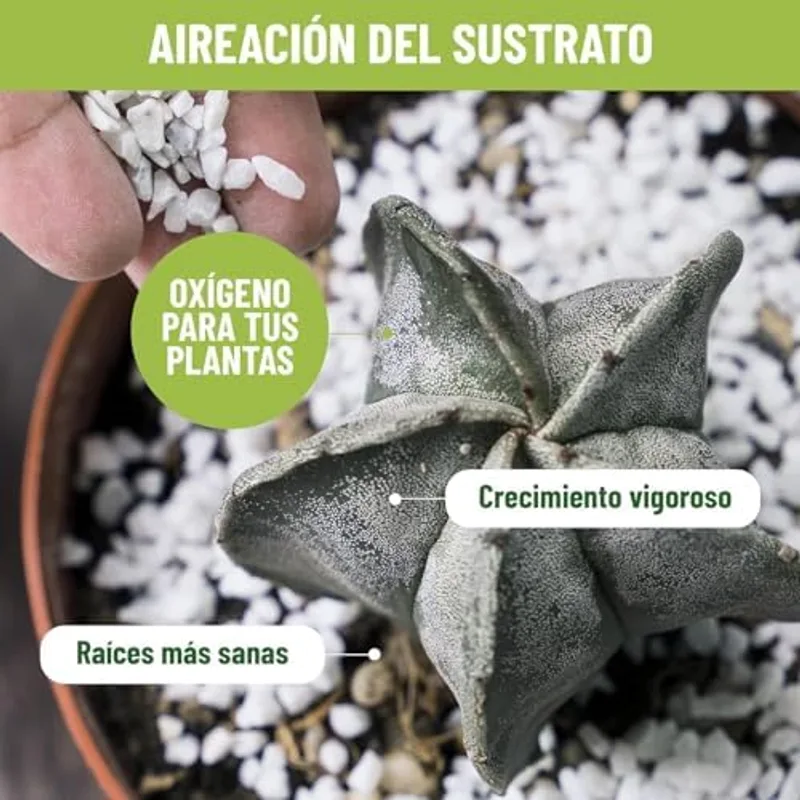 Detalle de la textura de la perlita expandida blanca del pack Growmania, granulometría media para macetas