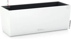 Lechuza Balconera Color 50