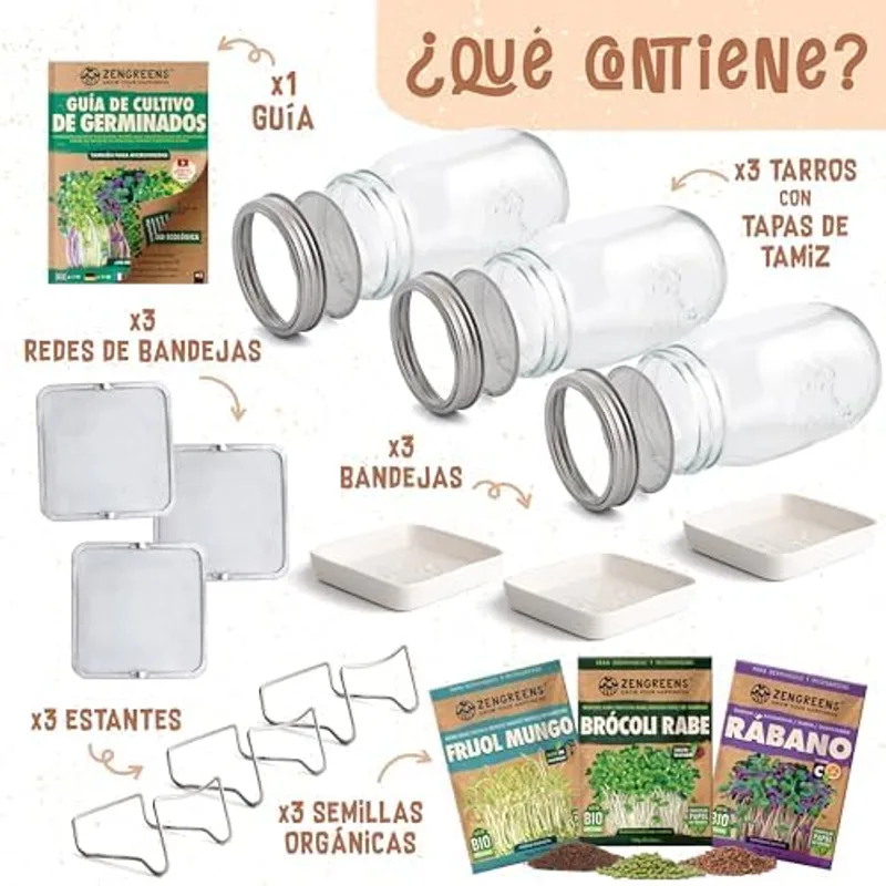 Brotes de judía mungo germinados dentro del tarro ZenGreens, listos para escurrir y consumir
