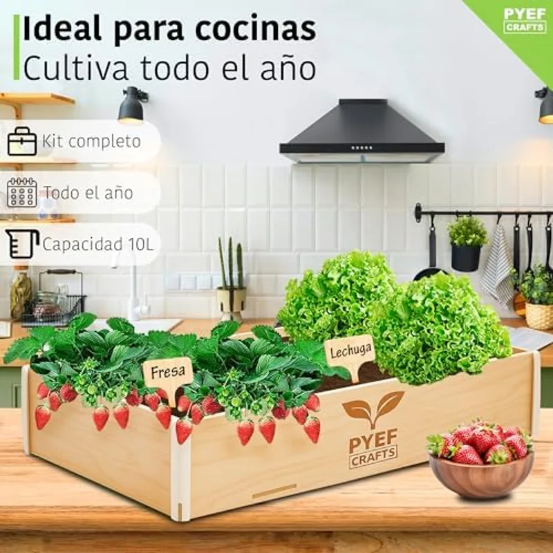 Kit Cultivo XL PYEF montado en alféizar con semillas plantadas