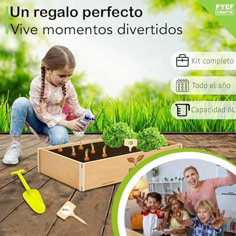 Detalle de las semillas y pastillas de fibra de coco del kit jardinería infantil PYEF