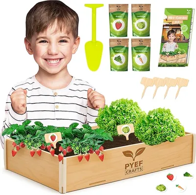 Kit cultivo niños PYEF Crafts: review honesta del regalo de jardinería infantil